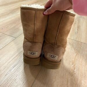 UGG Tan Sheepskin Footwear